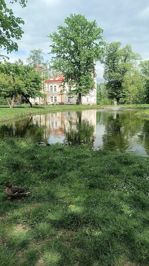 Staw w Parku Lubomirskich w Przemyślu