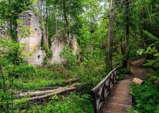 Czartowe Pole – porośnięte mchem ruiny papierni nad rzeką Sopot